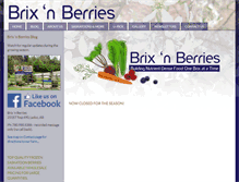 Tablet Screenshot of brixnberries.com